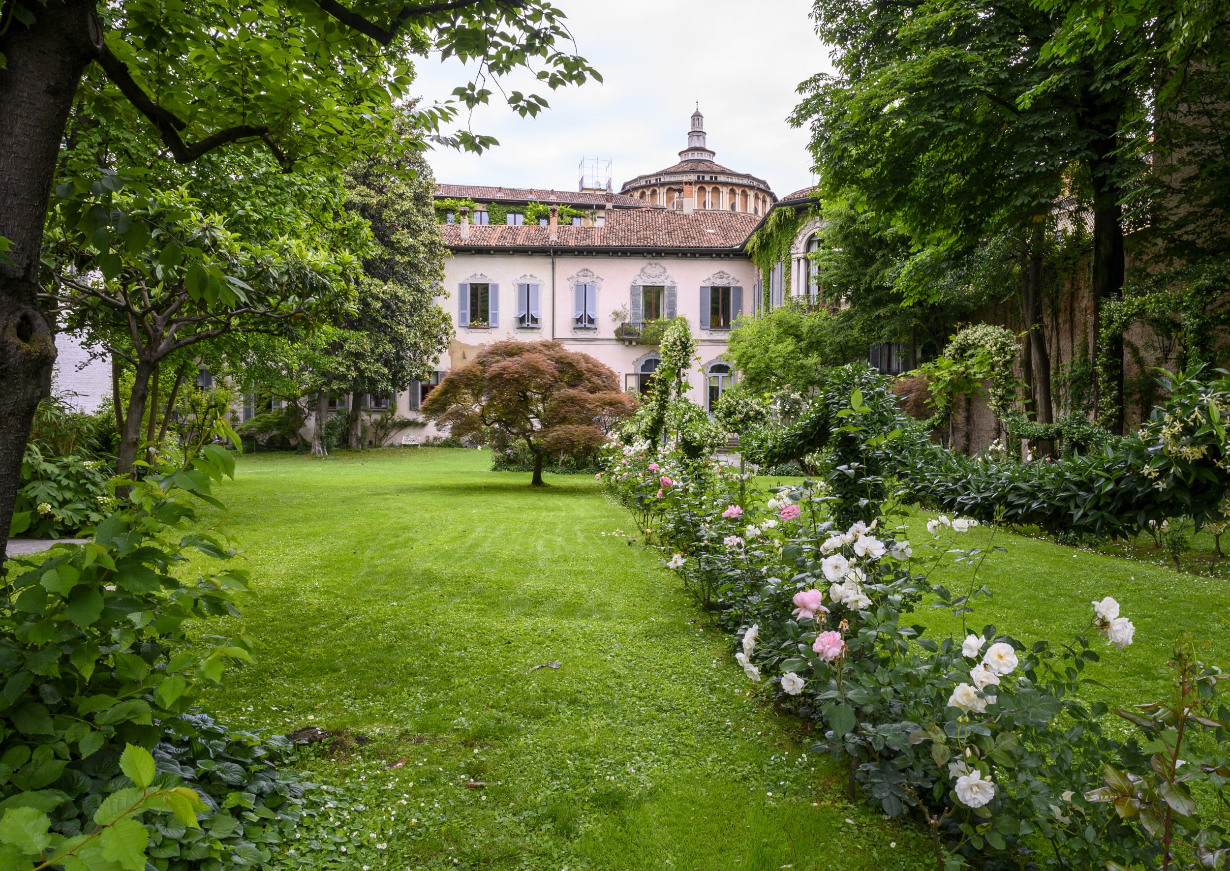 Vineyard of Leonardo da Vinci